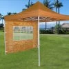 Delta Canopy E Model 10'x10' Burnt Orange - Pop Up Tent