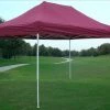 Delta Canopy E Model 10'x15' Maroon - Pop Up Tent
