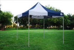 Delta Canopy F Model 10'x10' Navy Blue/White - Pop Up Tent Pro