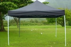 Delta Canopy Pop Up Tents E Model 10'x10' Black - Pop Up Tent