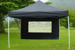Delta Canopy Pop Up Tents E Model 10'x10' Black - Pop Up Tent