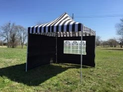 Delta Canopy Pop Up Tents E Model 10'x10' Black Stripe - Pop Up Tent