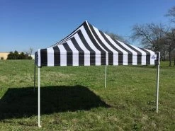 Delta Canopy Pop Up Tents F Model 10'x10' Black Stripe - Pop Up Tent Pro