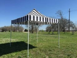 Delta Canopy Pop Up Tents F Model 10'x10' Black Stripe - Pop Up Tent Pro
