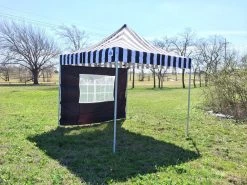 Delta Canopy Pop Up Tents F Model 10'x10' Black Stripe - Pop Up Tent Pro