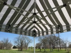 Delta Canopy Pop Up Tents F Model 10'x10' Black Stripe - Pop Up Tent Pro