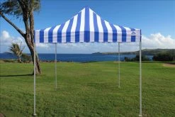 Delta Canopy F Model 10'x10' Blue Stripe - Pop Up Tent Pro 9 Delta Canopy F Model 10'x10' Blue Stripe - Pop Up Tent Pro