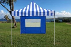 Delta Canopy F Model 10'x10' Blue Stripe - Pop Up Tent Pro 8 Delta Canopy F Model 10'x10' Blue Stripe - Pop Up Tent Pro