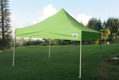 Delta Canopy E Model 10'x10' Emerald - Pop Up Tent