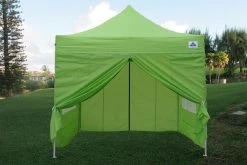 Delta Canopy E Model 10'x10' Emerald - Pop Up Tent