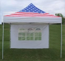Delta Canopy F Model 10'x10' American Flag - Pop Up Tent Pro