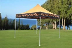 Delta Canopy Pop Up Tents F Model 10'x10' Orange Flame - Pop Up Tent Pro
