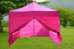Delta Canopy Pop Up Tents E Model 10'x10' Pink - Pop Up Tent