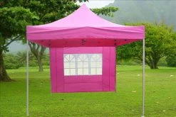 Delta Canopy Pop Up Tents E Model 10'x10' Pink - Pop Up Tent