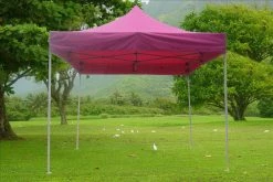 Delta Canopy Pop Up Tents E Model 10'x10' Pink - Pop Up Tent
