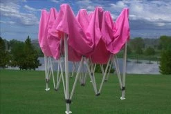 Delta Canopy F Model 10'x10' Pink - Pop Up Tent Pro Pop Up Tents