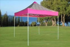 Delta Canopy F Model 10'x10' Pink Zebra - Pop Up Tent Pro Pop Up Tents