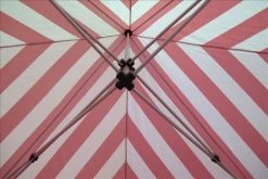 Delta Canopy E Model 10'x10' Red Stripe - Pop Up Tent Pop Up Tents