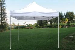 Delta Canopy Pop Up Tents E Model 10'x10' White - Pop Up Tent