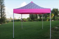 Delta Canopy Pop Up Tents E Model 10'x10' Pink Zebra - Pop Up Tent