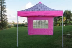Delta Canopy Pop Up Tents E Model 10'x10' Pink Zebra - Pop Up Tent