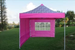 Delta Canopy Pop Up Tents E Model 10'x10' Pink Zebra - Pop Up Tent