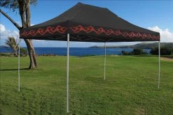 Delta Canopy E Model 10'x15' Black Flame - Pop Up Tent