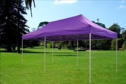 Delta Canopy Pop Up Tents F Model 10'x20' Purple - Pop Up Tent Pro