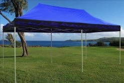 Delta Canopy Pop Up Tents F Model 10'x20' Blue Flame - Pop Up Tent Pro