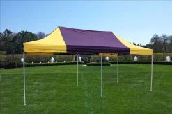 Delta Canopy F Model 10'x20' Purple Yellow - Pop Up Tent Pro Pop Up Tents