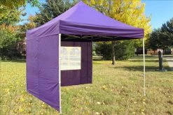 Delta Canopy F Model 10'x10' Purple - Pop Up Tent Pro Pop Up Tents