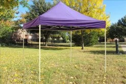 Delta Canopy F Model 10'x10' Purple - Pop Up Tent Pro Pop Up Tents