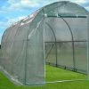 Delta Canopy Greenhouse 15'x7' - Walk In Nursery Greenhouses
