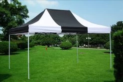 Delta Canopy E Model 10'x15' Black White - Pop Up Tent