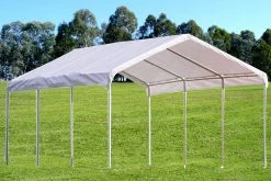Delta Canopy PE Carport - Two Sizes Available - 18'x20',18'x27' Carports
