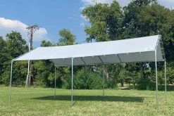 Delta Canopy Carports PE Carport Shelter - 20'x10' Light Grey