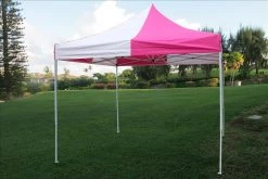 Delta Canopy Pop Up Tents E Model 10'x10' Pink White - Pop Up Tent