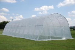 Delta Canopy Greenhouse 33' X 13' Clear Walk-in Nursery