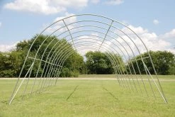 Delta Canopy Greenhouse 33' X 13' Clear Walk-in Nursery