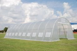 Delta Canopy Greenhouse 33' X 13' Clear Walk-in Nursery