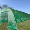 Delta Canopy Greenhouse 40'x13' - Walk-in Nursery With Round Arch Greenhouses