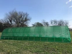 Delta Canopy Greenhouse 40'x13' - Walk-in Nursery With Round Arch Greenhouses