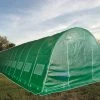 Delta Canopy Greenhouse 46'x13' - Walk-in Nursery With Round Arch