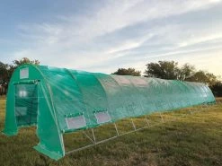 Delta Canopy Greenhouse 46'x13' - Walk-in Nursery With Round Arch