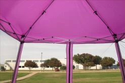 Delta Canopy 8'x8'/10'x10' Purple - Slant Leg W Net - Pop Up Tent
