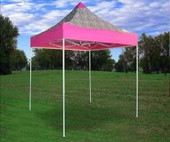 Delta Canopy 8'x8' Pink Zebra - Pop Up Tent Basic Pop Up Tents
