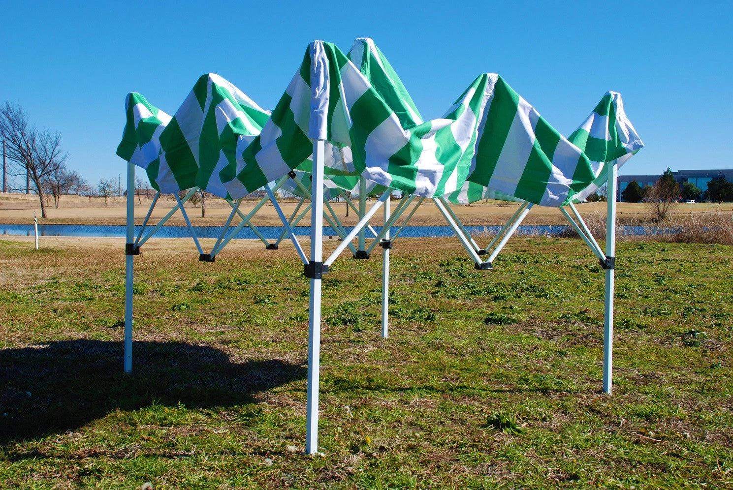 Delta Canopy 8'x8' Green Stripe - Pop Up Tent Basic Pop Up Tents 3 Delta Canopy 8'x8' Green Stripe - Pop Up Tent Basic Pop Up Tents