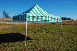 Delta Canopy 8'x8' Green Stripe - Pop Up Tent Basic Pop Up Tents 13 Delta Canopy 8'x8' Green Stripe - Pop Up Tent Basic Pop Up Tents