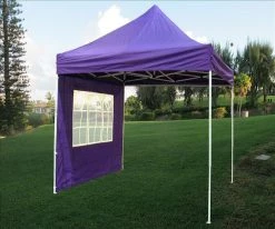 Delta Canopy 8'x8' Purple - Pop Up Tent Basic