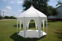 Deltacanopy Party Tents 9'x9' Octagonal Tent Canopy For Children